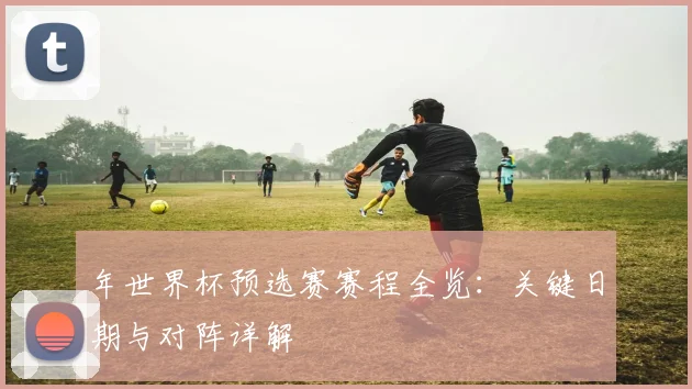 年世界杯预选赛赛程全览：关键日期与对阵详解