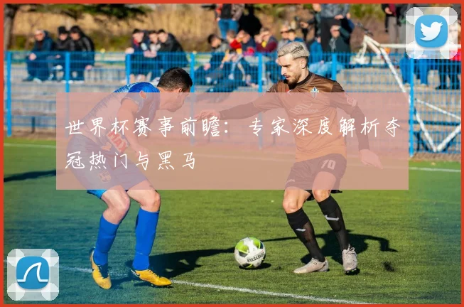 世界杯赛事前瞻：专家深度解析夺冠热门与黑马