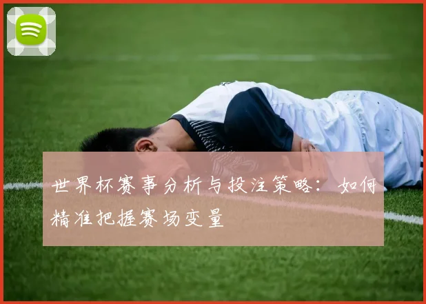 世界杯赛事分析与投注策略:如何精准把握赛场变量