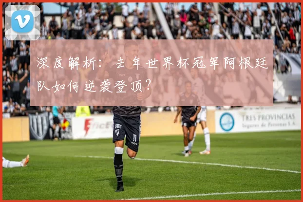 深度解析：去年世界杯冠军阿根廷队如何逆袭登顶？