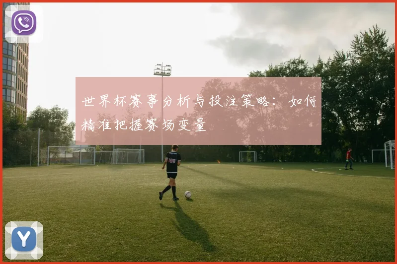 世界杯赛事分析与投注策略:如何精准把握赛场变量