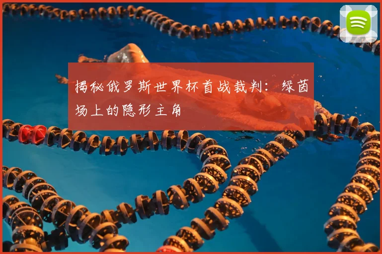 揭秘俄罗斯世界杯首战裁判：绿茵场上的隐形主角