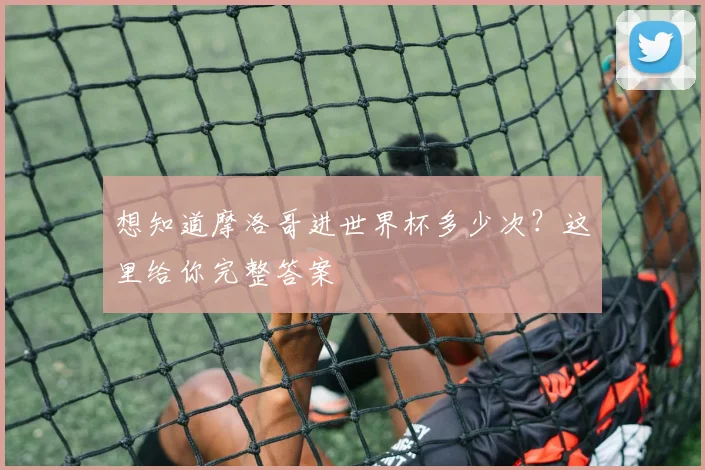 想知道摩洛哥进世界杯多少次？这里给你完整答案