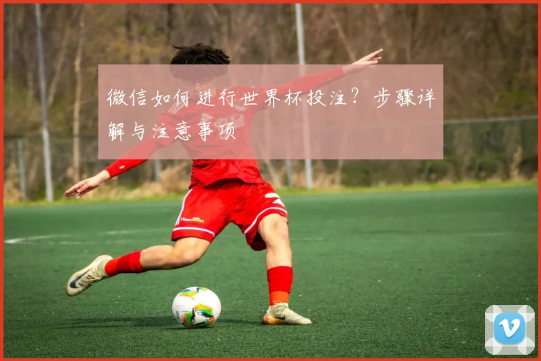 微信如何进行世界杯投注？步骤详解与注意事项