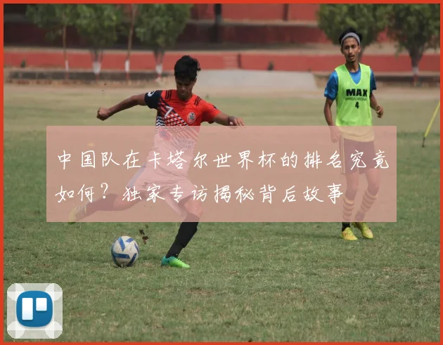 中国队在卡塔尔世界杯的排名究竟如何？独家专访揭秘背后故事