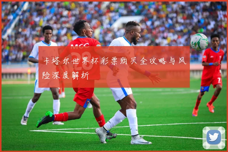卡塔尔世界杯彩票购买全攻略与风险深度解析