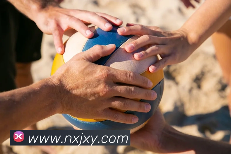 开云手机在线官网登录品牌故事